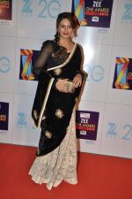 Huma Qureshi at Zee Awards red carpet in Mumbai on 6th Jan 2013 (137).JPG